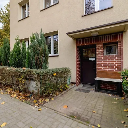 Colorful Near The Spodek Arena In By Renters Katovice