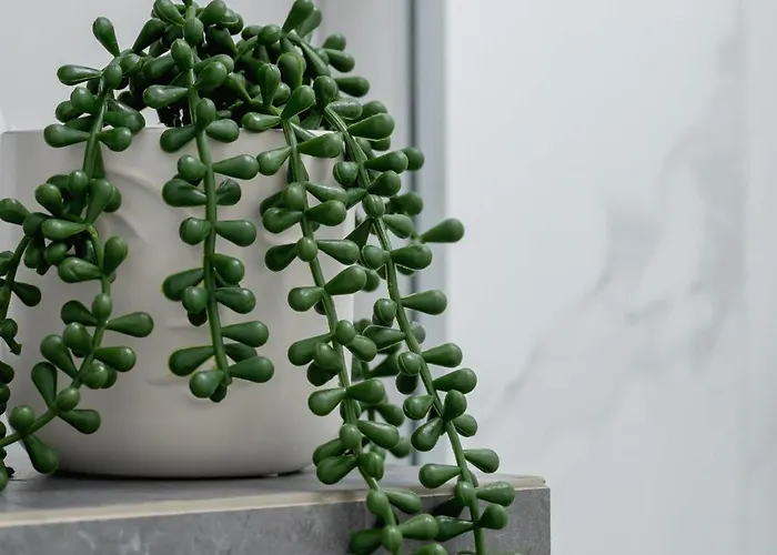 Apartmán Colorful Near The Spodek Arena In By Renters *